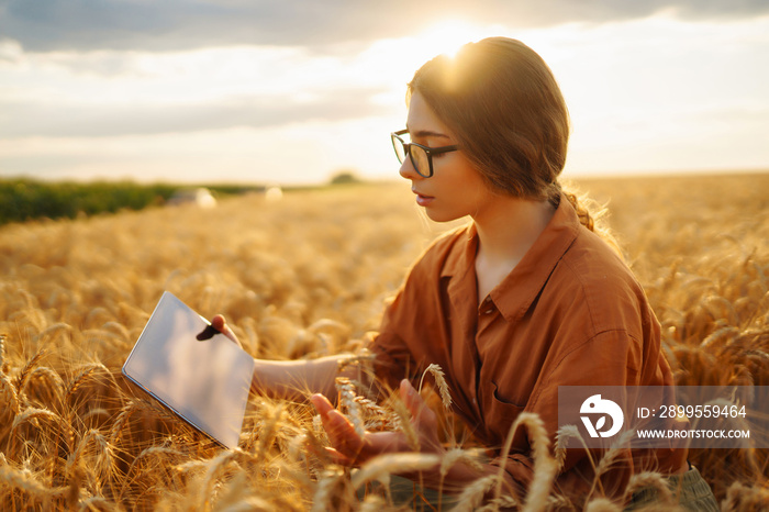 Young Female farmer with tablet in the field. Agriculture, gardening, business or ecology concept. Growth dynamics.