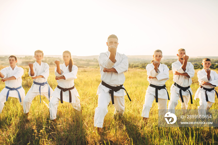 Karate group with master in white kimono