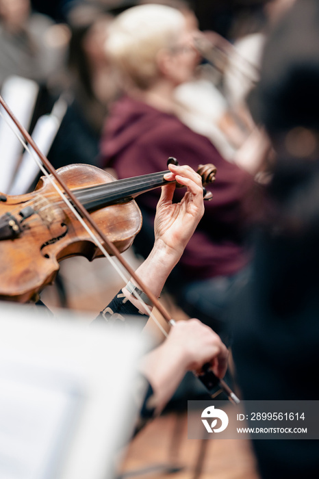 A person playing the violin or viola during a classical symphony orchestra rehearsal