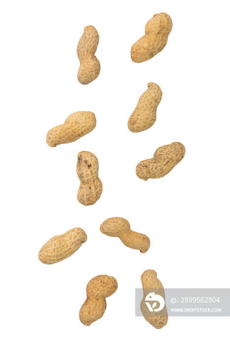 Falling peanuts on a white background.