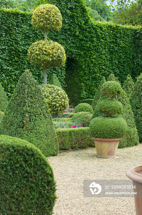 English boxwood garden