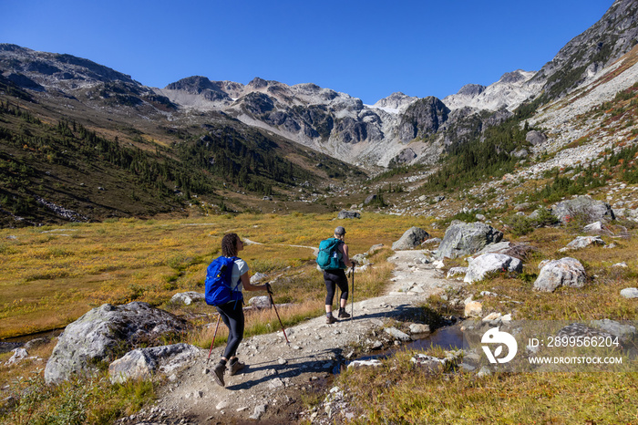 Adventurous people hiking in Canadian Mountain Landscape. Sunny Fall Season. Brandywine Meadows near Whistler and Squamish, British Columbia, Canada. Adventure Travel