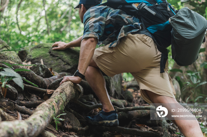 Trekker is climbing steep on mountains. Hiker is griping trees root on cliffs for climb to destination in jungle.