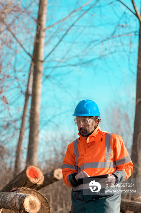 Forestry technician using digital tablet computer in forest