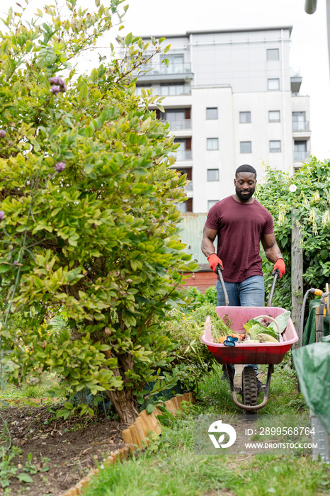 Portrait of man with vegetables in wheelbarrow in urban garden