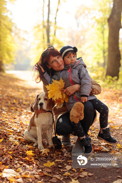 Mid age  woman with little girl and beagle walking  in the autumn park.