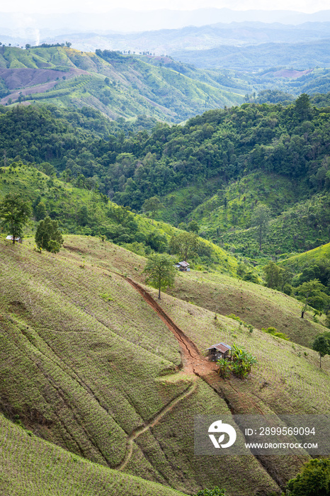 Deforestation on the mountains for agricultural in Thailand.