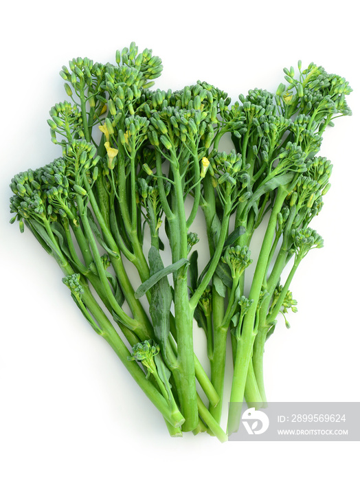 Bunch of broccolini stems