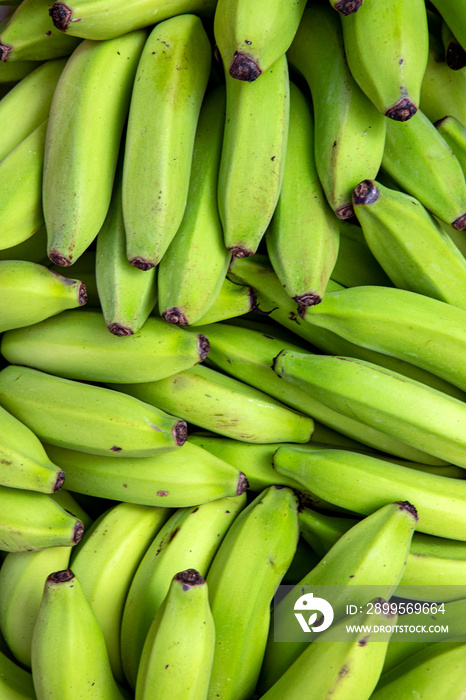 Bunches of unripe banana at outdoor market stall in Sao Paulo city, Brazil