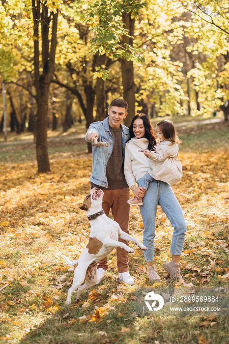 Happy young family walks and plays with a dog in the autumn park