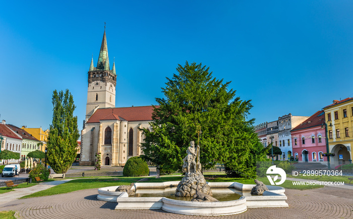 Neptune Fountain and Cathedral of Saint Nicholas in Presov, Slovakia