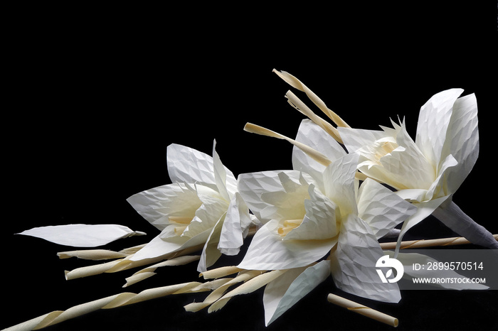 Thai Artificial Funeral Flower(Dok mai chan) on black backgroud with copy space. (Daffodil or narcissus funeral flowers)