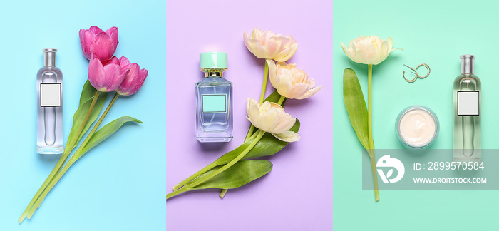 Collage of perfume bottles with tulip flowers on color background, top view