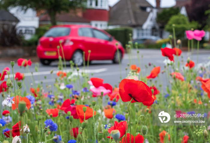 Colourful wild flowers, including pink and red poppies and cornflowers, on a roadside verge in Eastcote, West London UK. Wild flowers are planted to attract insects. Car passes by in the background.