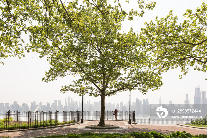 New York City midtown Manhattan skyline panorama view from Boulevard East Hamilton Park over Hudson River. Big tree in Hamilton Park promenade.