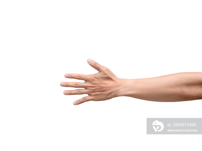 Skin of man hand isolated,Male arm white background