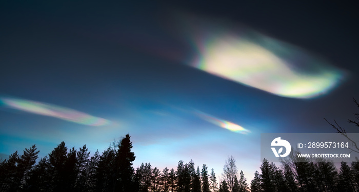 Nacreous clouds in dusk over tree silhouettes