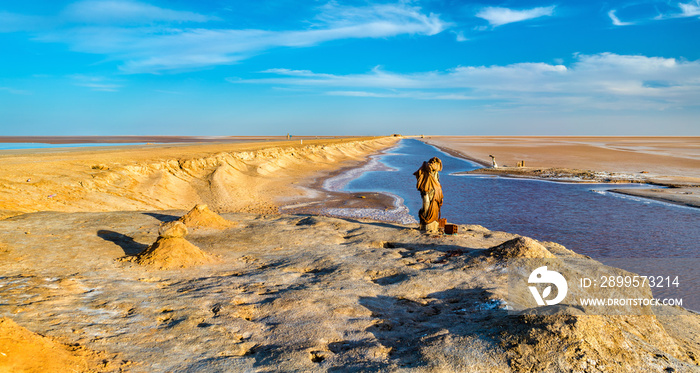 Chott el Djerid, a dry lake in Tunisia