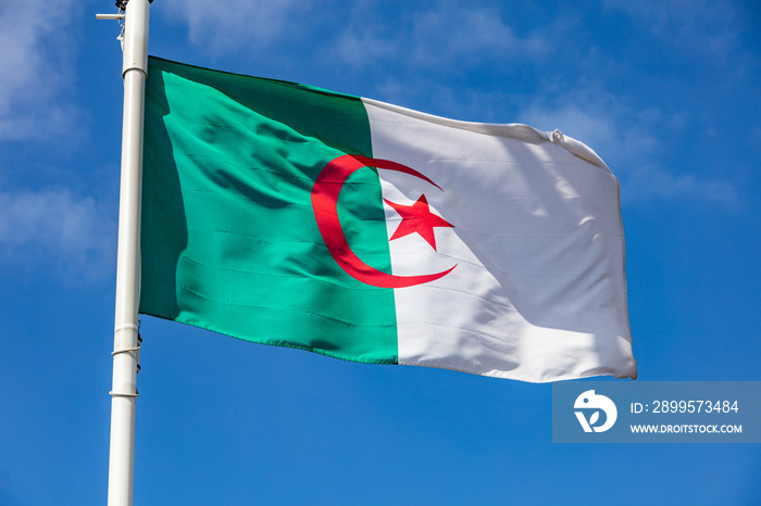 Algerian flag waving against clear blue sky