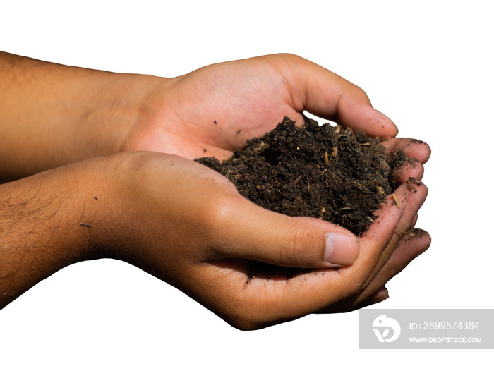 soil in hand isolated