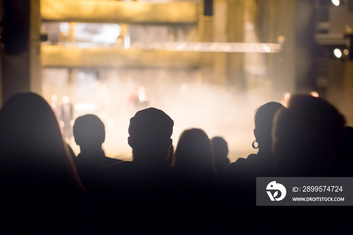 audience in the theater watching a play