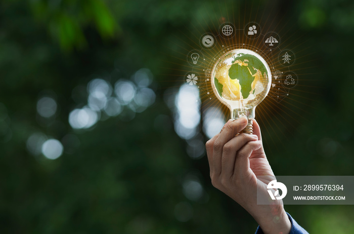 Hand holding light bulb and sustainable development interface icons on green background, Technology and environment concept.