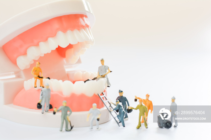 Miniature people, small model human figure clean model teeth with copy space. Medical and dental concept. Team work on dental care.