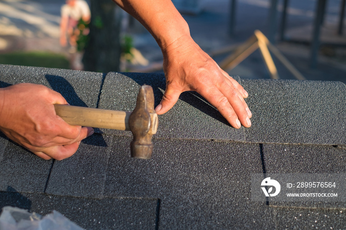 Workers hands installing bitumen roof shingles using hammer in nails.