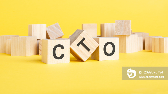 CTO, Chief, Technology, Officer symbol. wooden blocks with words CTO concept