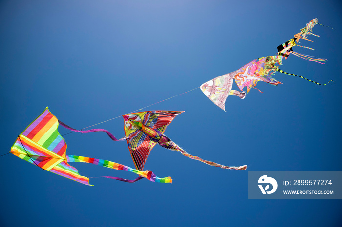 Series of colorful kites flying in the blue sky