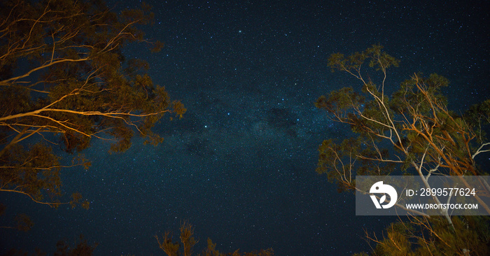 milky way from the gold coast hinterland