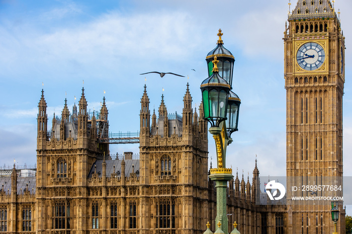 Bird flying in front of the Palace of Westminster and the Big Ben in London, England on a clear sunny day