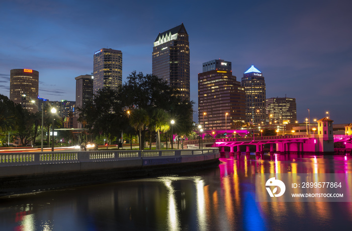 Downtown Tampa skyline at night