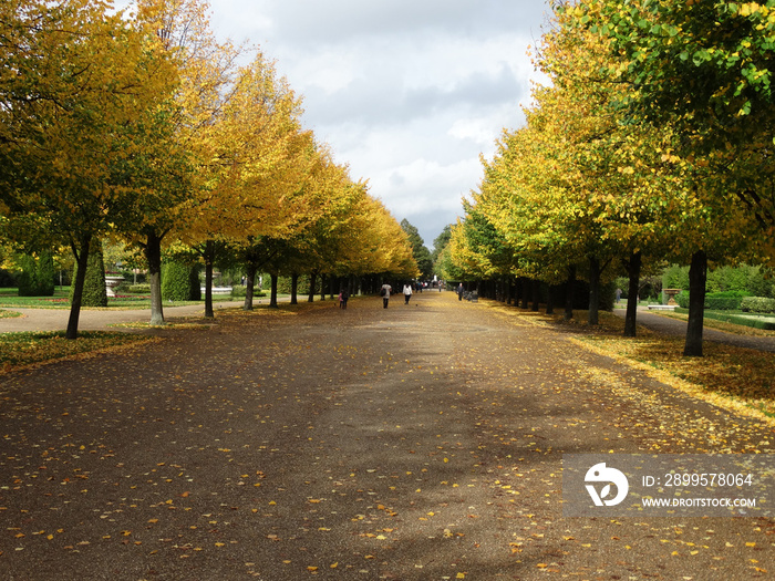 Golden autumn in Regent park, London, Regent’s park in fall season