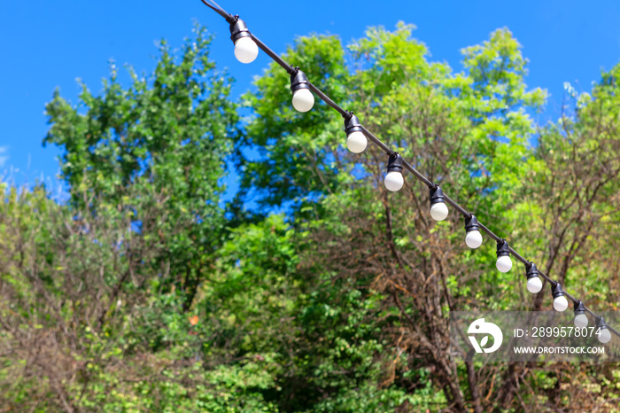 Light bulbs in nature . Illumination of outdoor event . Garden lights