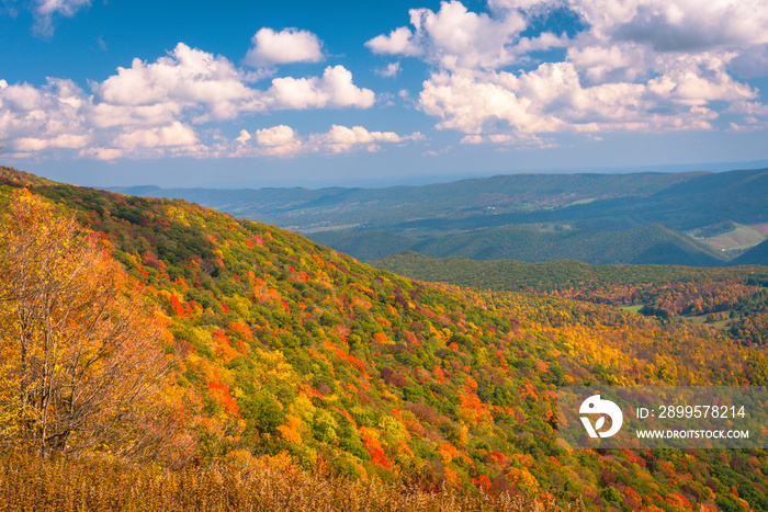 Fall foliage in West Virginia