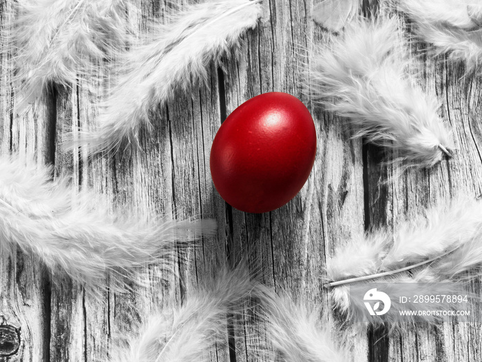 red egg and white feathers