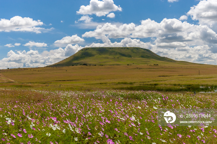 Rural Landscape of the Free State Province, South Africa