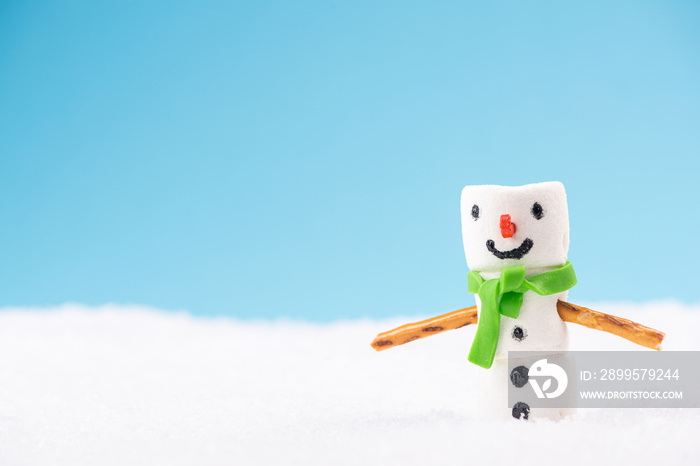 Funny Snowman Made of Marshmallow in Winter Holiday Scenery