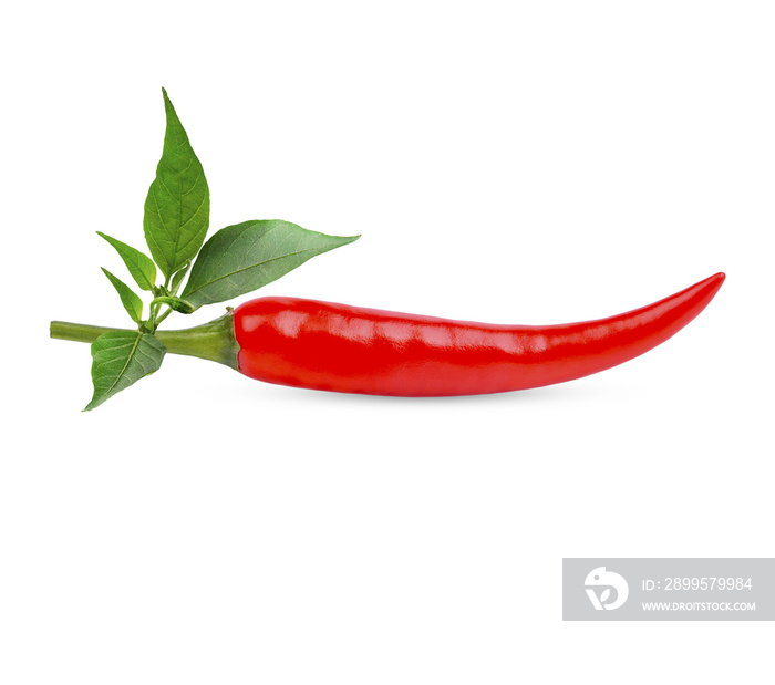 Ripe pepper with leaves isolated on transparent background. (.PNG)