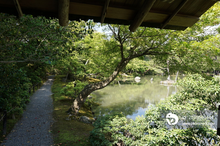 Kyoto Kinkaku-ji