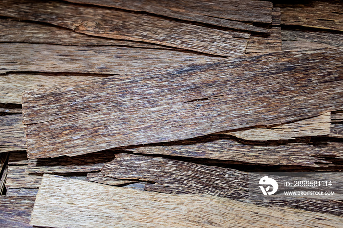 Precious agarwood chips from Nha Trang, Vietnam