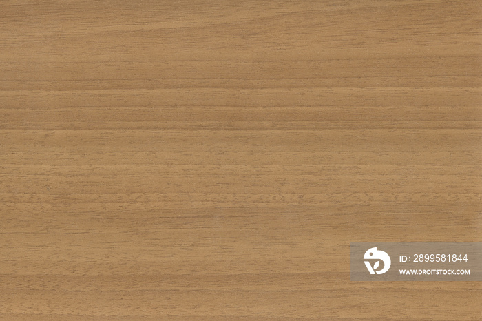 wooden texture background