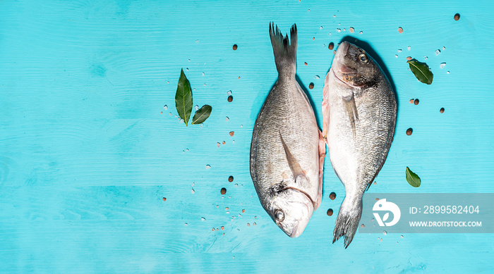 Raw dorado fish with spices and herbs on bright blue background with copy space for your text top view.