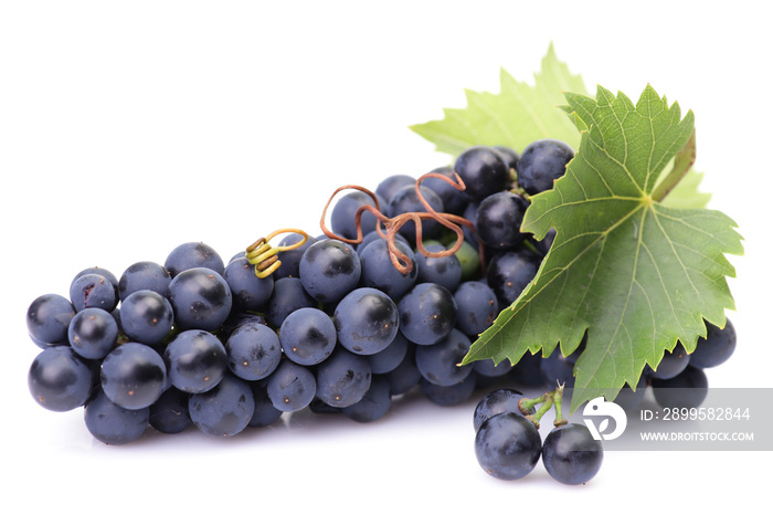 Grapes on a white background