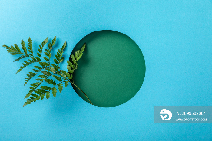 green fern leaf in round hole on blue paper with copy space