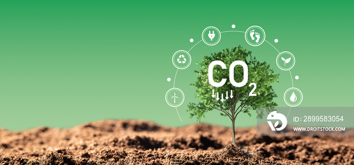 Carbon dioxide emissions, carbon footprint concept