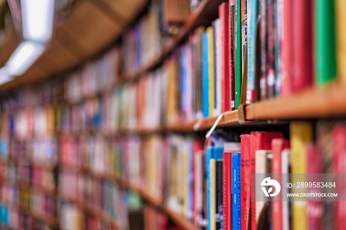 Colorful books in rows at a big bookshelf