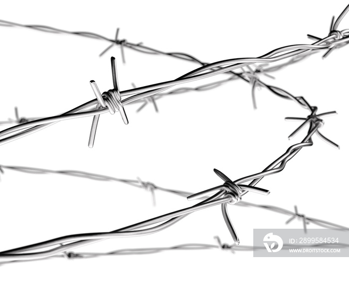 Barbed Wire isolated on White II. 3D illustration