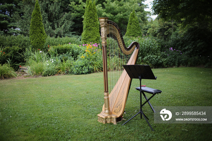 Harp Classical Musical Instrument Outdoors in Summer for a Wedding Event Celebration